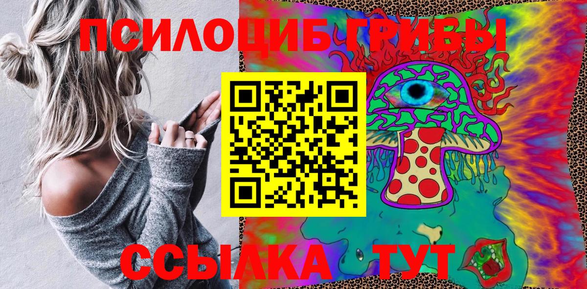хочу   Псилоцибиновые грибы Psilocybe  Вход с VPN  Долгопрудный 